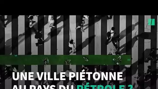 Une ville de 170 km de long sans voiture en Arabie Saoudite, pays du pétrole