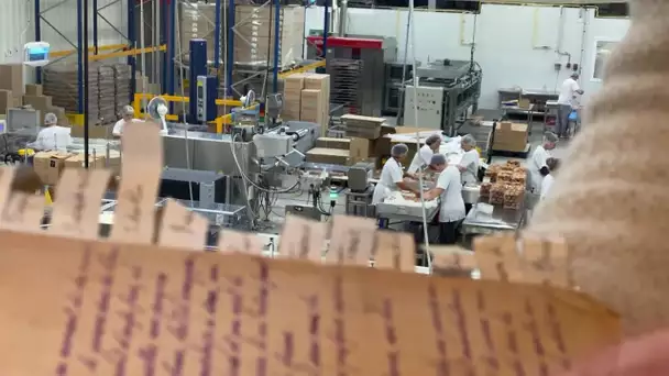 Une famille tarnaise qui ne manque pas de croquant, depuis 3 générations elle fabrique des biscuits