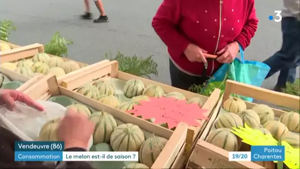 Vendeuvre-du-Poitou dans la Vienne : foire du melon