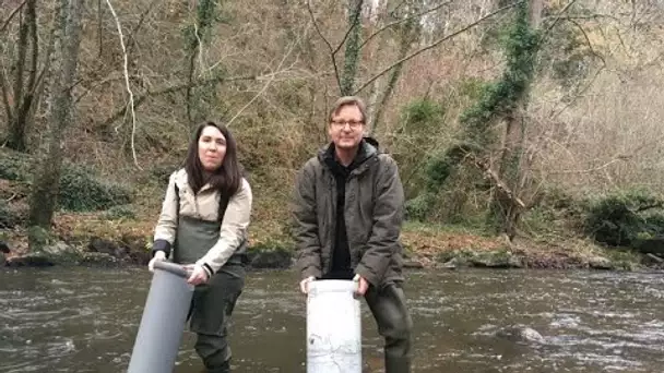 Pistes Vertes dans la Rouvre avec la Mulette perlière