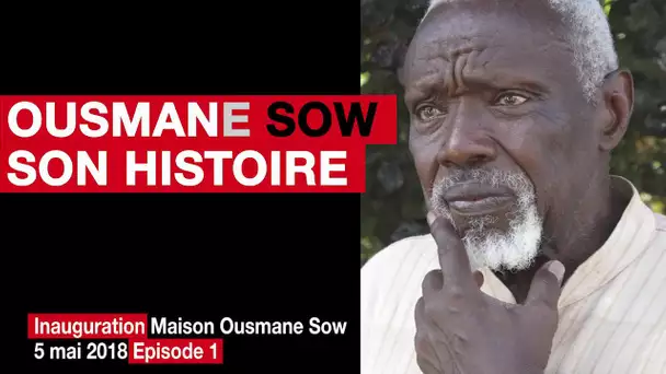 Ousmane Sow, une enfance dans l’histoire – ép.1