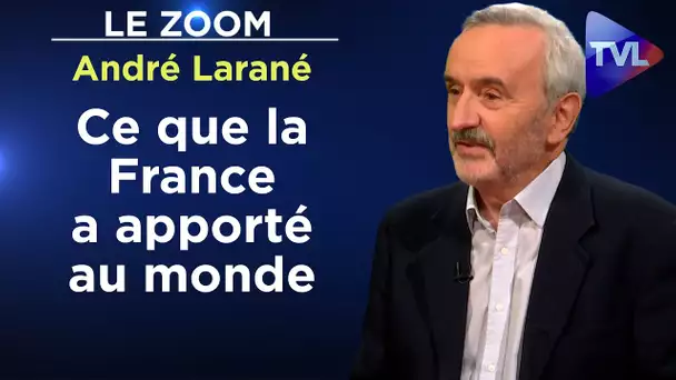 "Déconstruire notre histoire" : une réponse à E. Macron - Le Zoom - André Larané - TVL