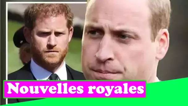 Le prince William « doit avoir » une stratégie différente de celle du prince Harry pour protéger son