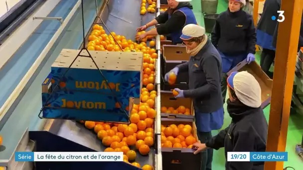 A Menton, les chars de la Fête du citron font la part belle... aux oranges de Valence en Espagne