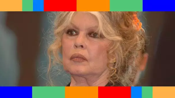 "Je vais très mal" : découragée, Brigitte Bardot inquiète