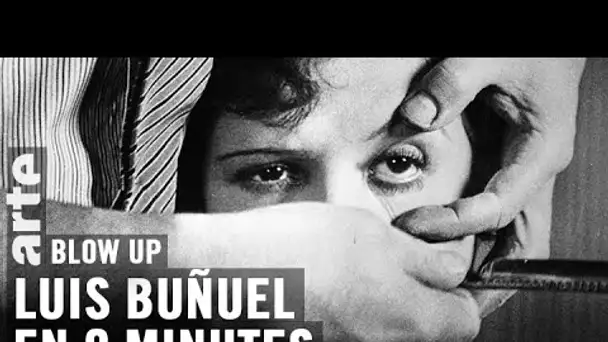 Luis Bunuel en 9 minutes - Blow Up - ARTE