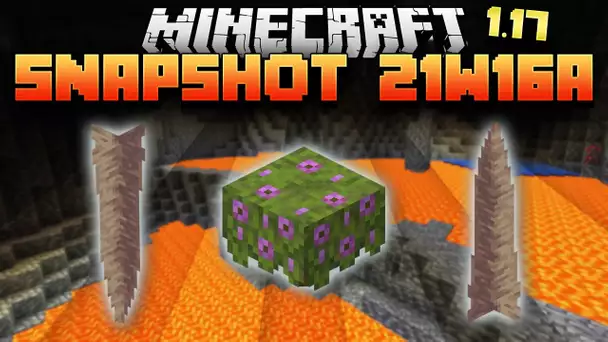 Nouveaux filons de minerais et jolis plantes - Minecraft 1.17 Snapshot 21w16
