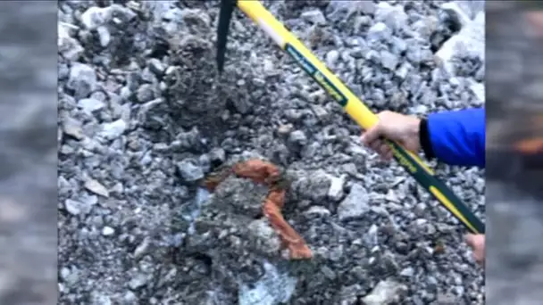 Gard : 43 ans après, un glacier alpin rend le corps d'un jeune alpiniste natif de Bagnols-sur-Cèze