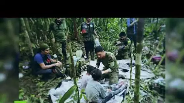 Colombie : des enfants disparus retrouvés vivants dans la jungle après plus d'un mois