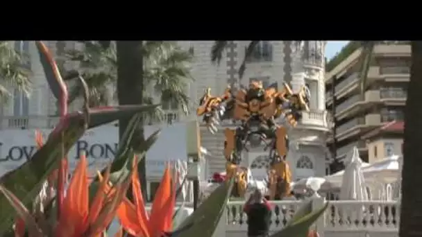 Bumblebee sur la croisette