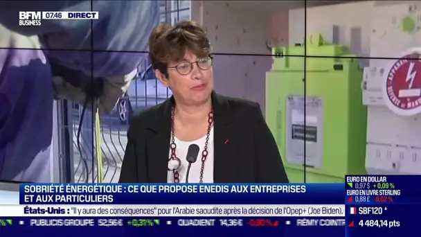 Sobriété énergétique: ce que propose Enedis aux entreprises et aux particuliers