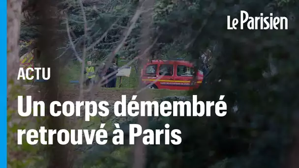 Paris : un morceau de corps humain découvert dans un sac aux Buttes-Chaumont