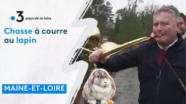 La chasse à courre au lapin: les chasseurs y tiennent !