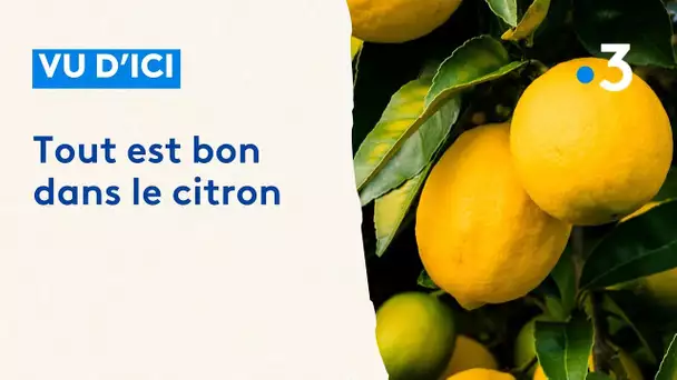 De la tarte au dessert gastronomique 3*, le citron de Menton se décline à l'infini en pâtisserie