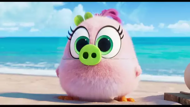 Angry Birds : Copains comme Cochons - Extrait "Hatchling Eggs" - VF