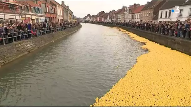 Saint-Omer : 12 000 canards en plastique font la course dans l&#039;Aa