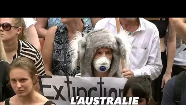 Les Australiens manifestent contre la gestion des incendies de leur Premier ministre