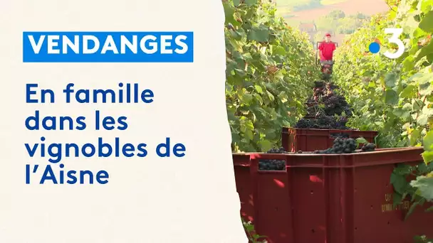 Un esprit de famille durant les vendanges dans les vignobles de l'Aisne