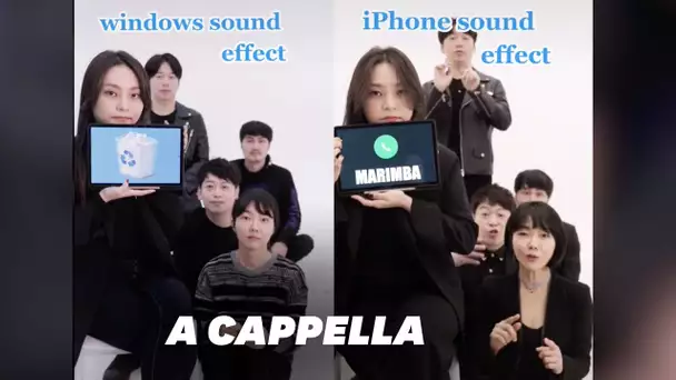 Ce groupe rejoue les sons de Windows et Apple en beatbox et ne passe pas inaperçu