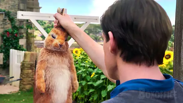 La guerre dans le jardin | Pierre Lapin | Extrait VF