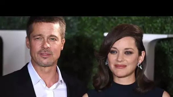 Marion Cotillard invitée chez Brad Pitt, la réponse sèche de l’acteur
