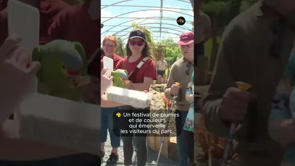 🐦💚 Des oiseaux du bout du monde s’installent dans le Marais poitevin