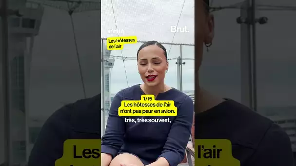 La vérité sur les hôtesses de l'air (1/15)