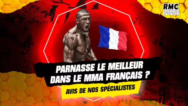 RMC MMA : Parnasse, le meilleur combattant MMA français ? L'avis de nos spécialistes
