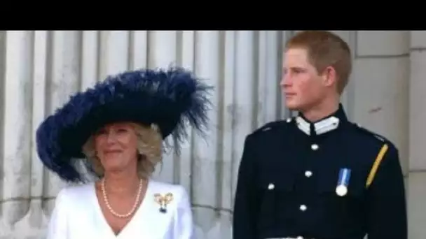 Camilla, le jeune prince Harry, "énervée" avec des "regards fumants et pleins de ressentiment"