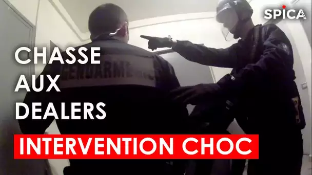 Intervention choc : chasse aux dealers / Stop au trafic