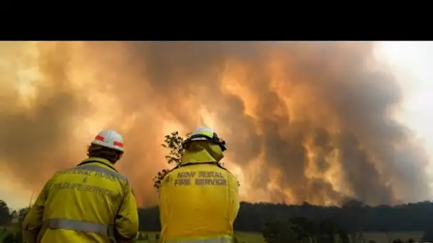 Australie : des milliers de pompiers mobilisés, les incendies se rapprochent de Sydney