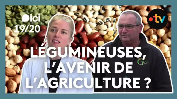 Alternatives à la viande : la révolution des pois chiches, lentilles et autres légumineuses
