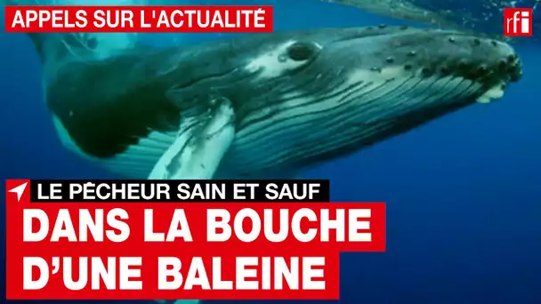 Un pêcheur dans la bouche d'une baleine