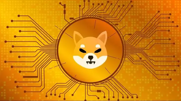 Shiba Inu : ce pays aime la cryptomonnaie canine