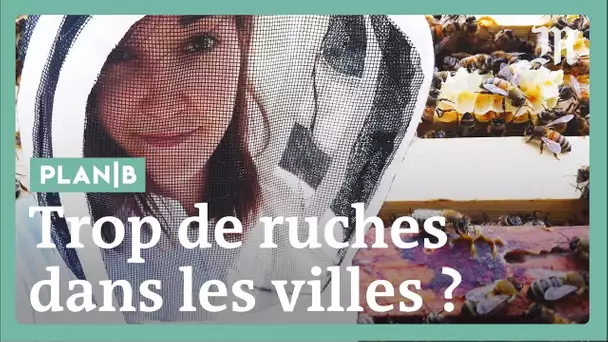 Comment la mode des ruches en ville peut se retourner contre les abeilles #PlanB