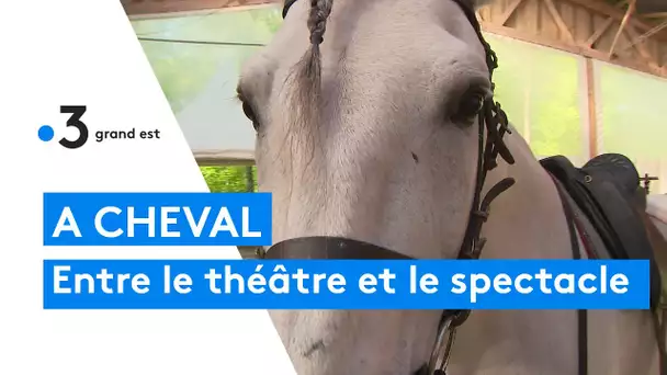 Le spectacle équestre de la troupe du MenilSaint-Michel  sur Moliere à bride abattue