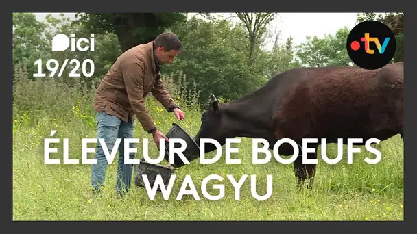 Gens de la Terre : Christophe, éleveurs de Wagyu
