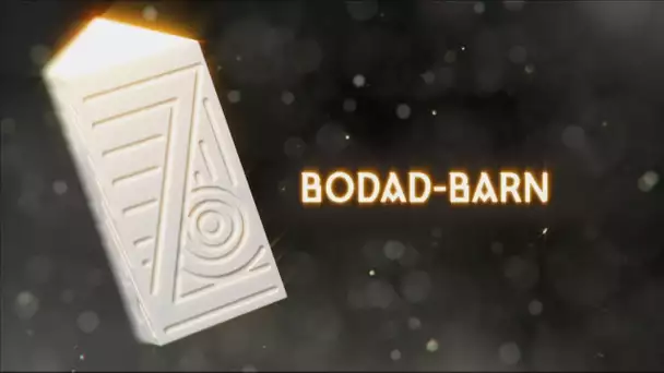 Prizioù 2024 :  Bodad Barn / jury