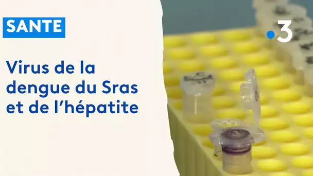 Santé : Un laboratoire travaille sur les virus de la dengue, du SRAS et de l'hépatite