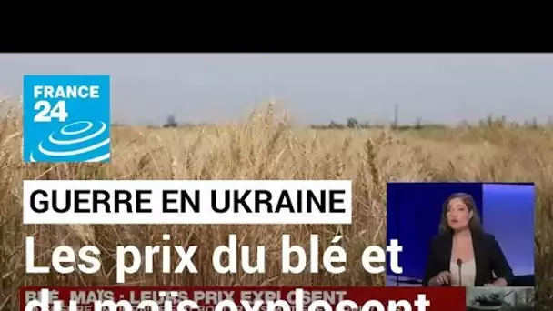 Guerre en Ukraine : les prix du blé et du maïs explosent • FRANCE 24