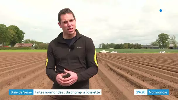 La frite normande : du champ à l'assiette