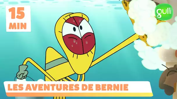 Les aventures de Bernie - Compilation épisodes 10, 11 et 12 (épisodes en entier)