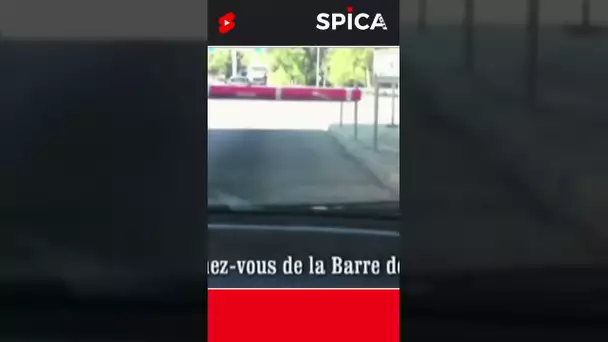 Ils forcent le passage au péage pour ne pas payer 😮🐀