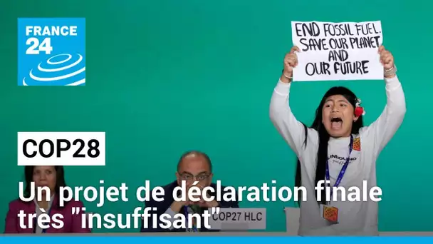 À quelques heures de la fin de la COP28, un projet de déclaration très "insuffisant"
