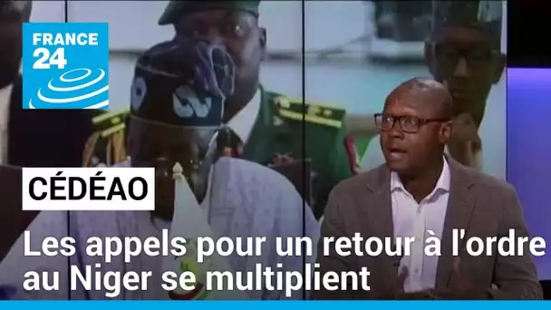 Sommet de la Cédéao : les appels pour un retour à l'ordre au Niger se multiplient • FRANCE 24
