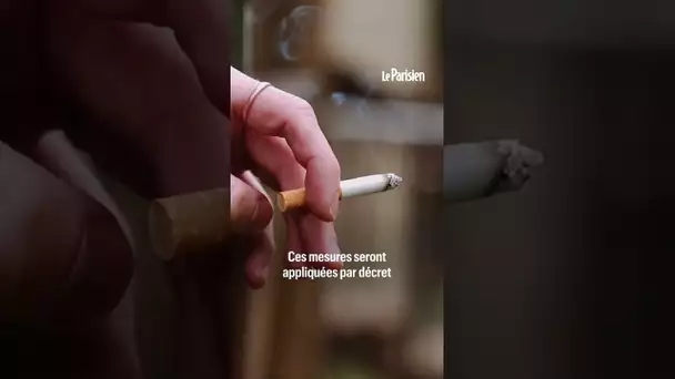 Hausse du prix, interdiction de fumer à la plage… Ce que contient le plan anti tabac du gouvernement