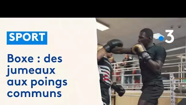 Les Frères Kamara règnent sur la boxe française