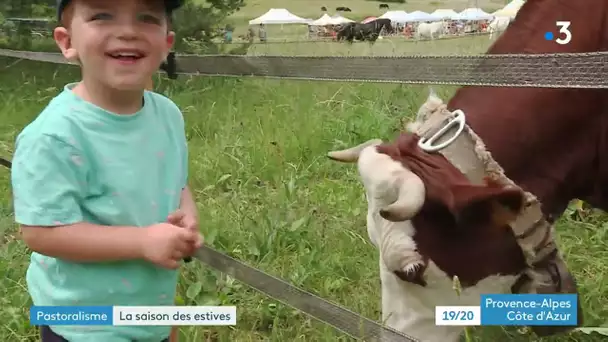 Au coeur de la transhumance dans les Alpes-Maritimes à Valdeblore