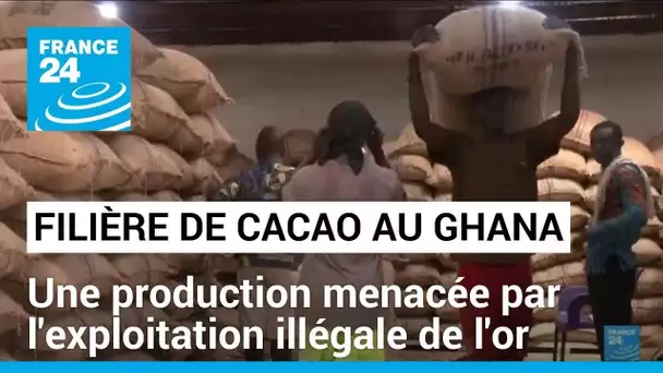 Filière du cacao : Le Ghana traverse une crise de production, les prix explosent • FRANCE 24