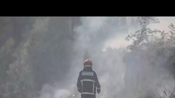 Le Portugal face aux feux de forêt et à la canicule